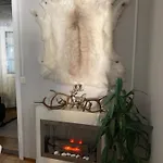 Shaman Apartment *