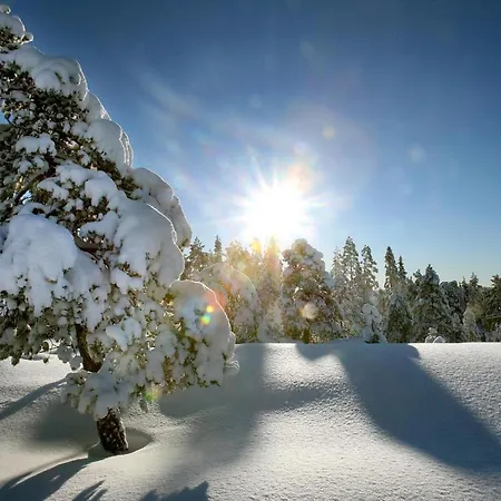 Shaman Lejlighed Rovaniemi