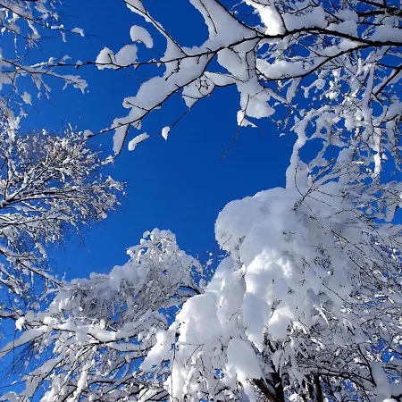 Shaman Apartamento Rovaniemi