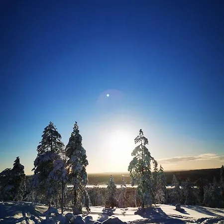 Shaman Rovaniemi