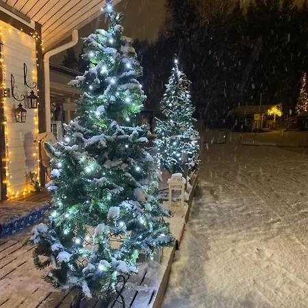 Shaman * 罗瓦涅米