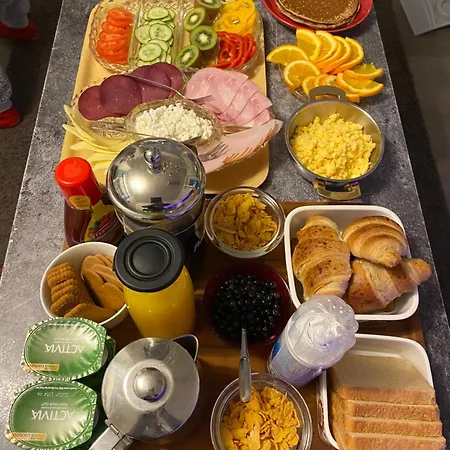 Shaman 公寓 罗瓦涅米