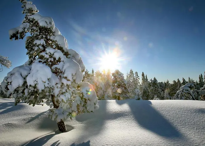 Shaman Lägenhet Rovaniemi