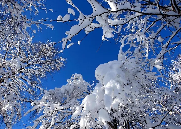 Shaman Lägenhet Rovaniemi