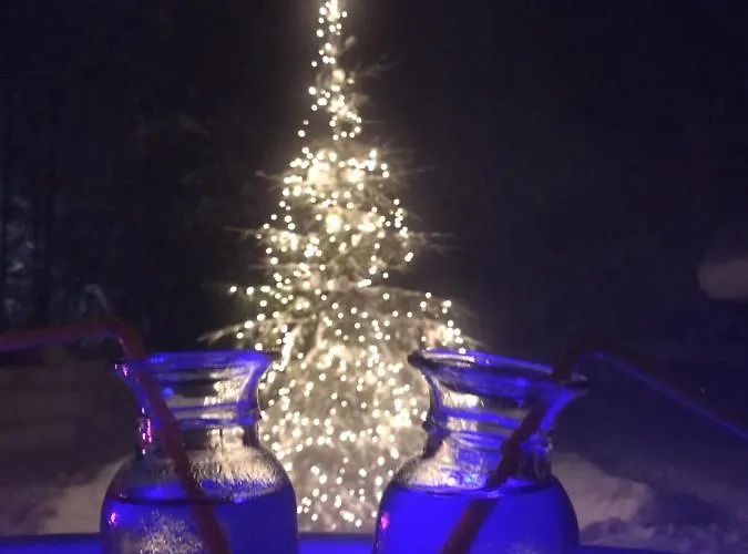 Апартаменты Shaman *